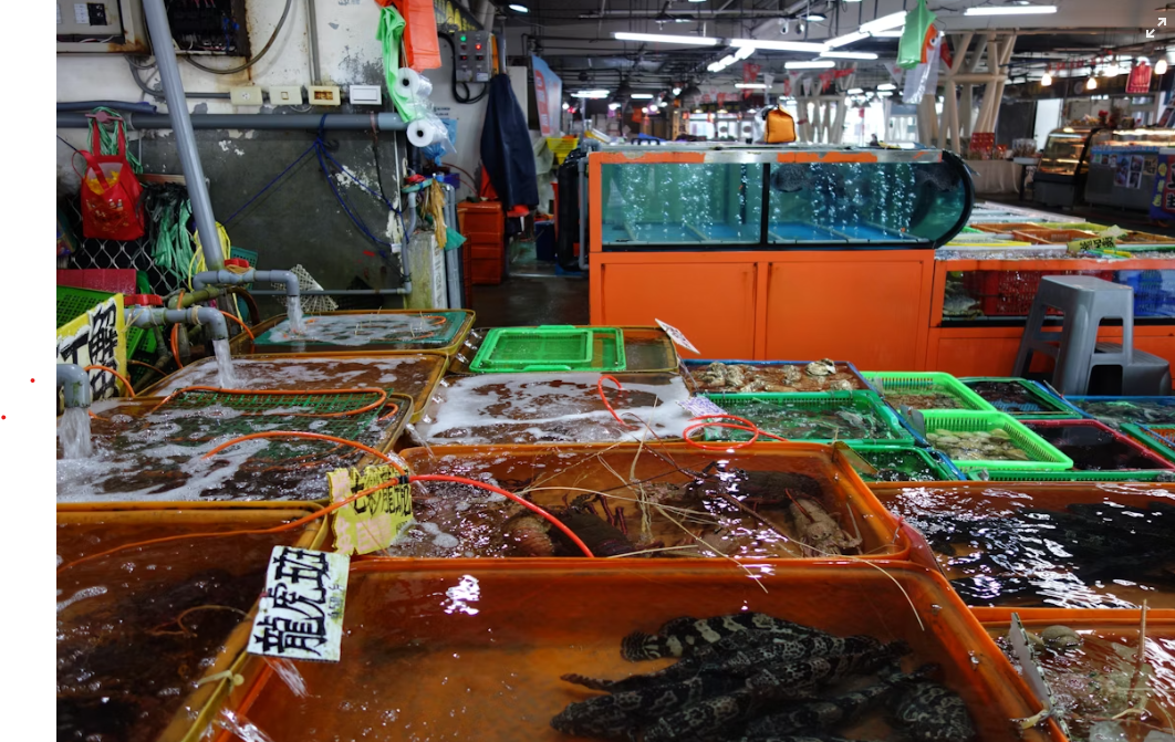 Alecster Fisheries Ltd.