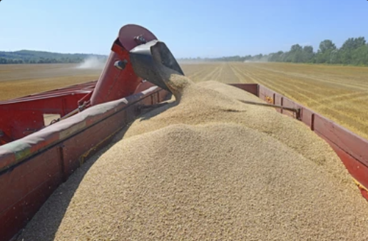 White Stone Trucking