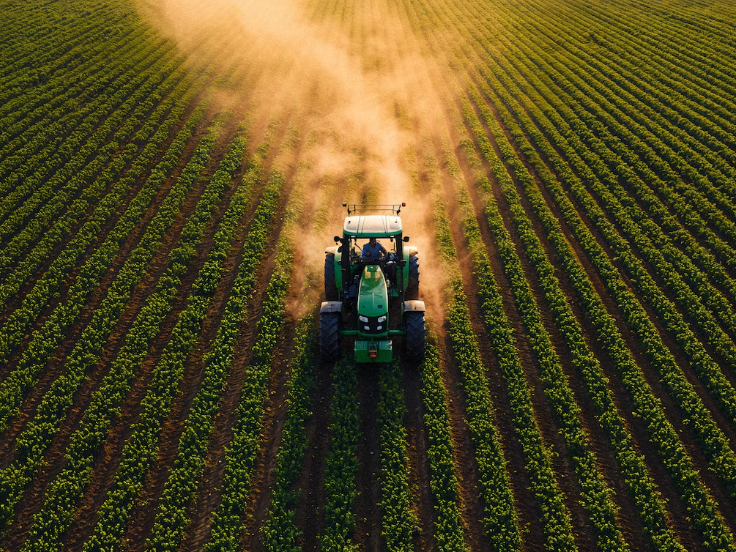 Codesa Colony Farming Co Ltd