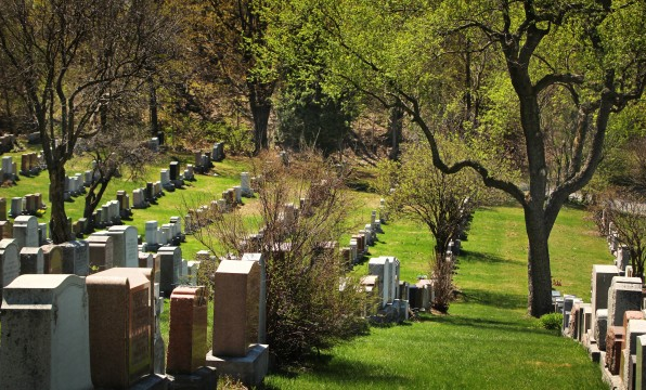 Alternatives Funeral & Cremation Services