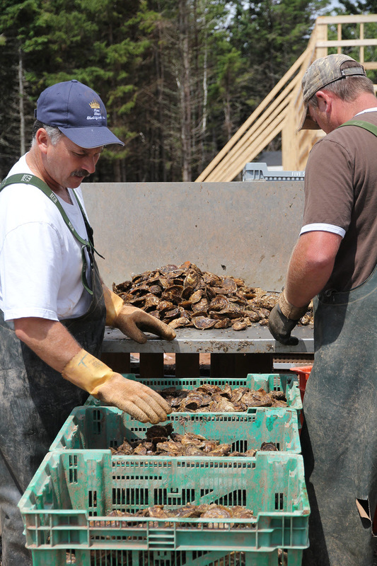 Five Star Shellfish Inc.