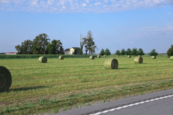 Treur Custom Farming