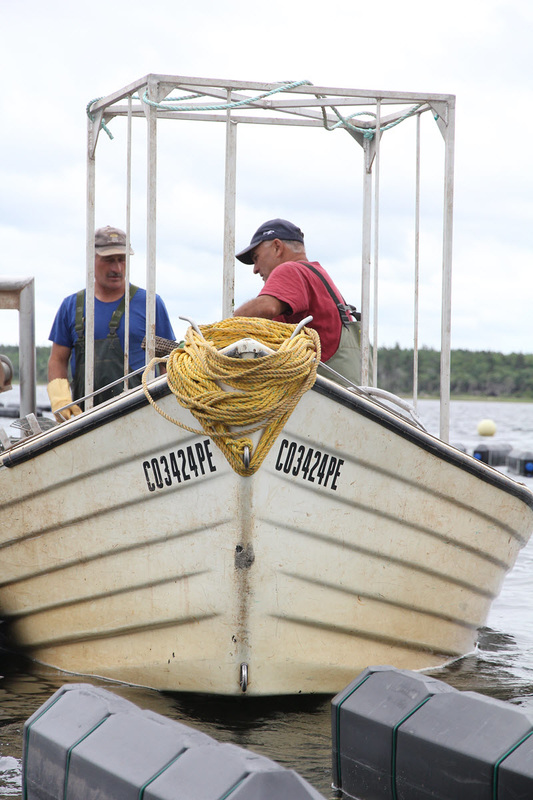 Five Star Shellfish Inc.