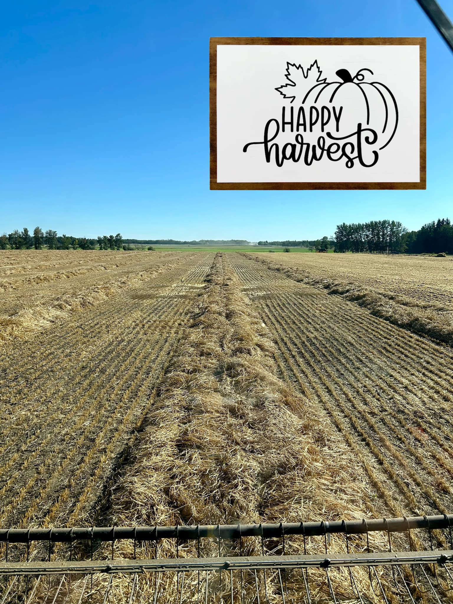 Hansen Land & Livestock in Tawatinaw, Alberta