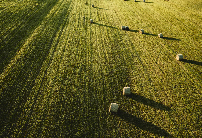 Codesa Colony Farming Co Ltd