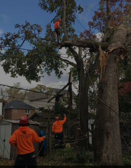 Endless Demolition Inc 