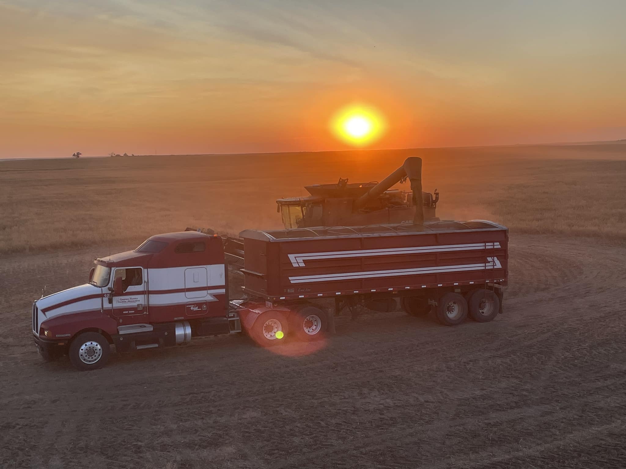 Gagnon Custom Harvesting