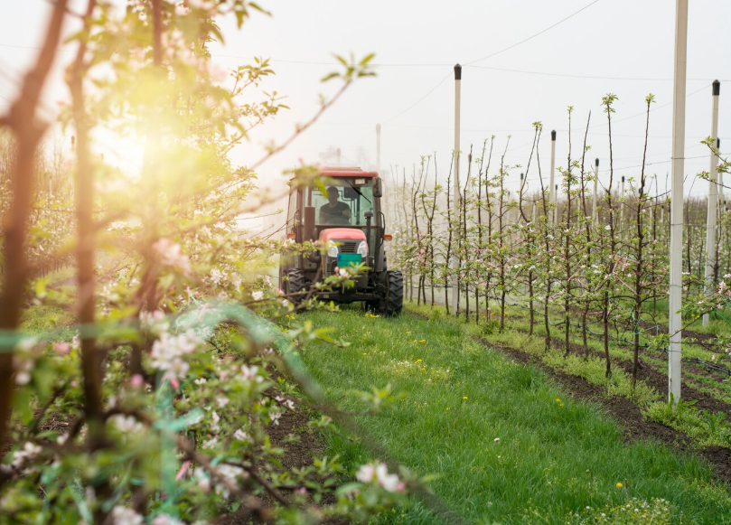 Codesa Colony Farming Co Ltd