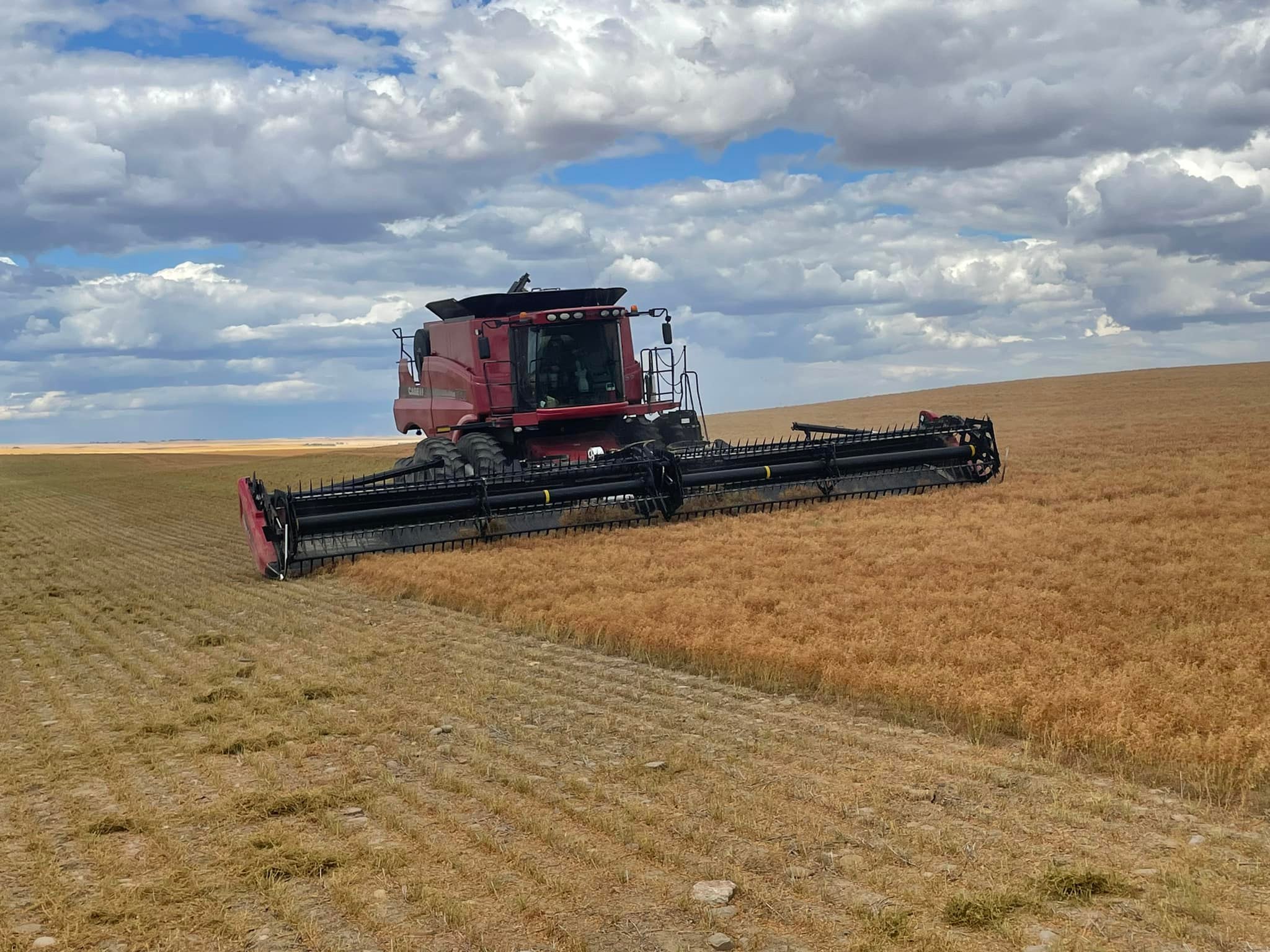 Gagnon Custom Harvesting