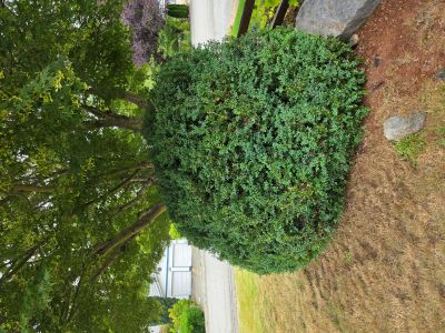 C.L.H Maintenance in Abbotsford, BC
