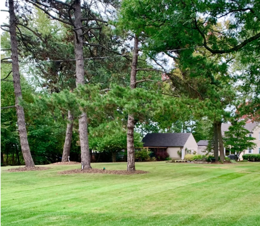 Escape Outdoor Management