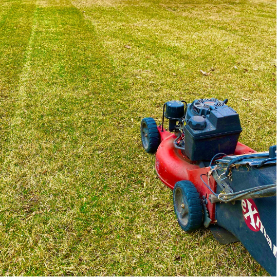 Alladins Landscape Design Ltd.