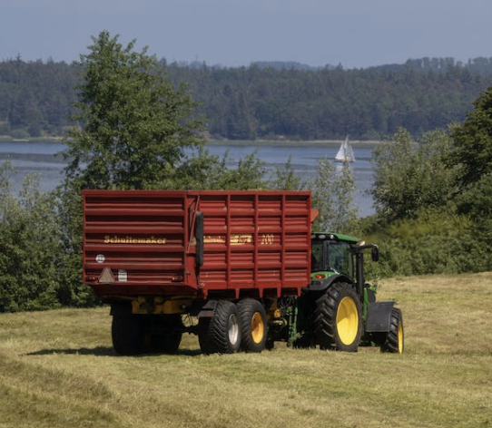 M & P De Wilde Farms Ltd.