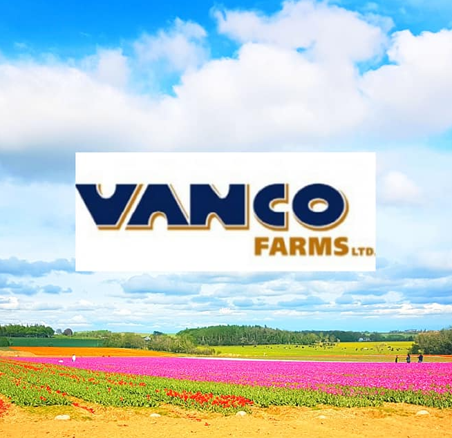 Vanco Farms Ltd. / Vanco Flowers Ltd.