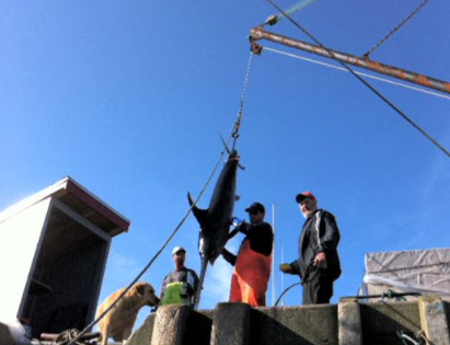 James L. Mood Fisheries